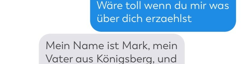 Chat mit einem Betrüger