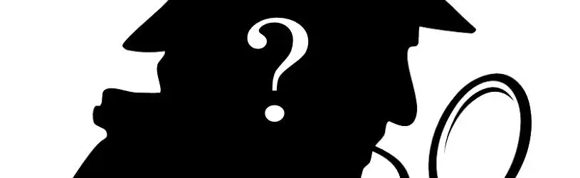 Wer ist der beste Detektiv?