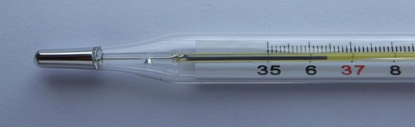 Detektiv bei Krankmeldung symbolisiert durch Thermometer