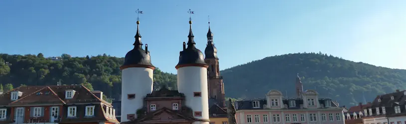 Detektiv Heidelberg