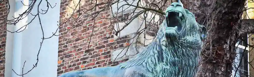 Kosten für Einsatz einer Detektei in Neuss