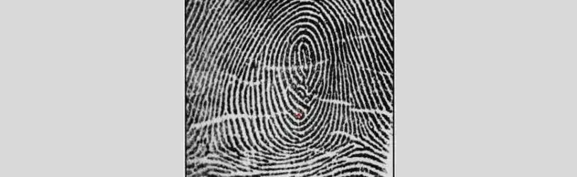 Fingerabdruck Muster mit Eingelagerter Schleife