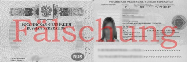 Gefälschter Reisepass eines Betrügers - Vorsicht - Russische Dating Apps sind durchsetzt von Fake Profilen