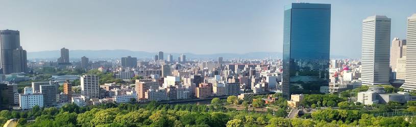 Informationsbeschaffung in Japan 