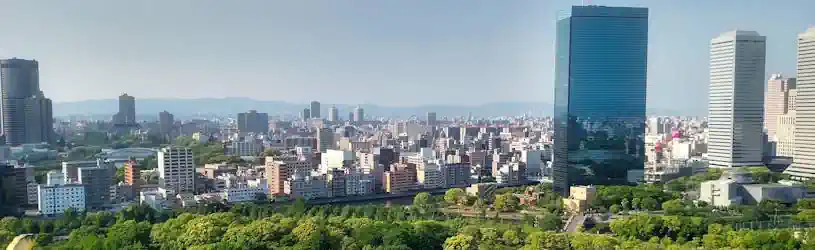 Informationsbeschaffung in Japan 