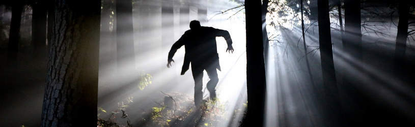 Nachstellung - das müssen Sie beachten