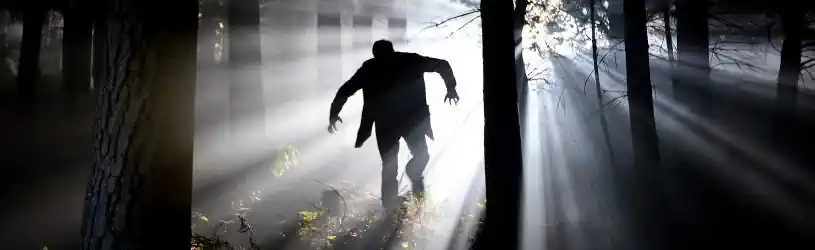 Nachstellung - das müssen Sie beachten