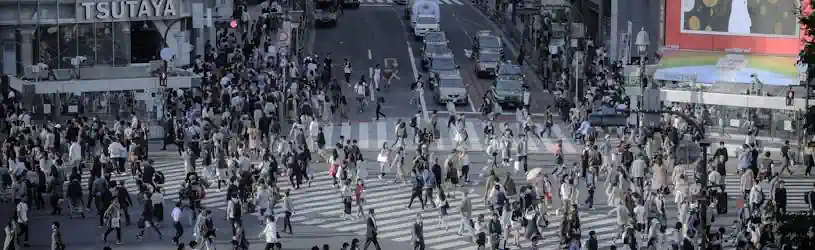 Personensuche in Japan und Adressermittlung