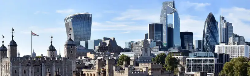 Detektiv für England