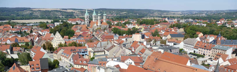 Detektiv für Sachsen-Anhalt
