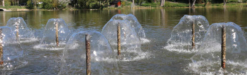 Detektiv für Sindelfingen