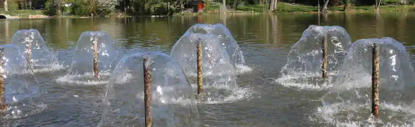 Detektiv für Sindelfingen