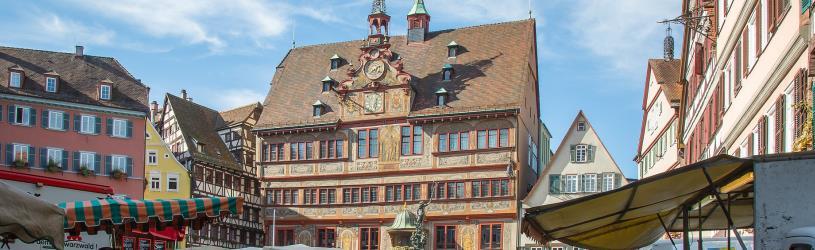 Detektiv für Tübingen