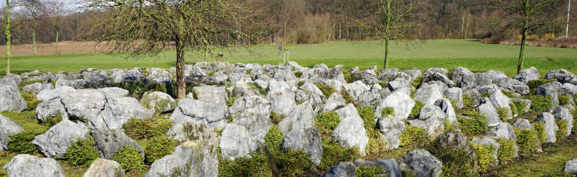 Detektiv für Viersen