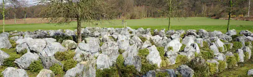 Detektiv für Viersen