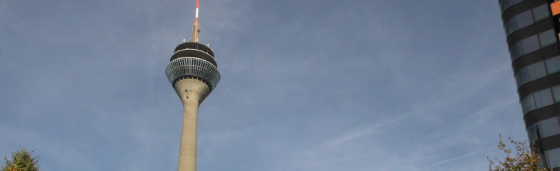 Wanzensuche im Umkreis des Fernsehturms in Düsseldorf.